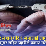 सिरहा र लहान गरी जम्मा ६ जनालाई लागुऔषध ब्राउनसुगर सहित पक्राउ ।